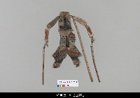 藏品(中國湖北皮影戲偶身-旦)的圖片